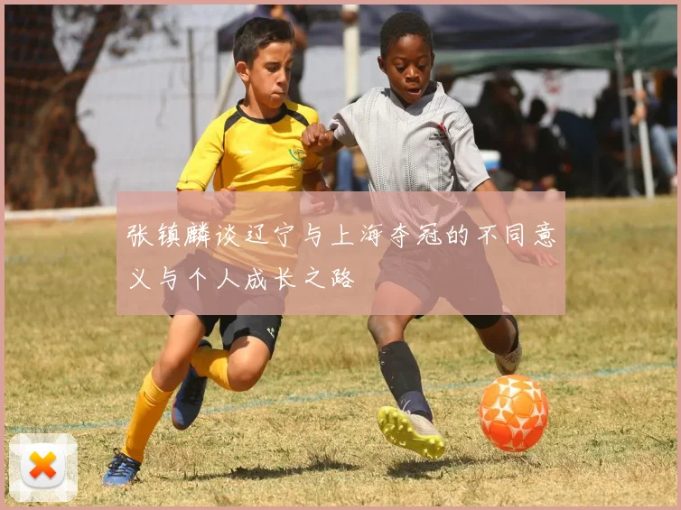 张镇麟谈辽宁与上海夺冠的不同意义与个人成长之路