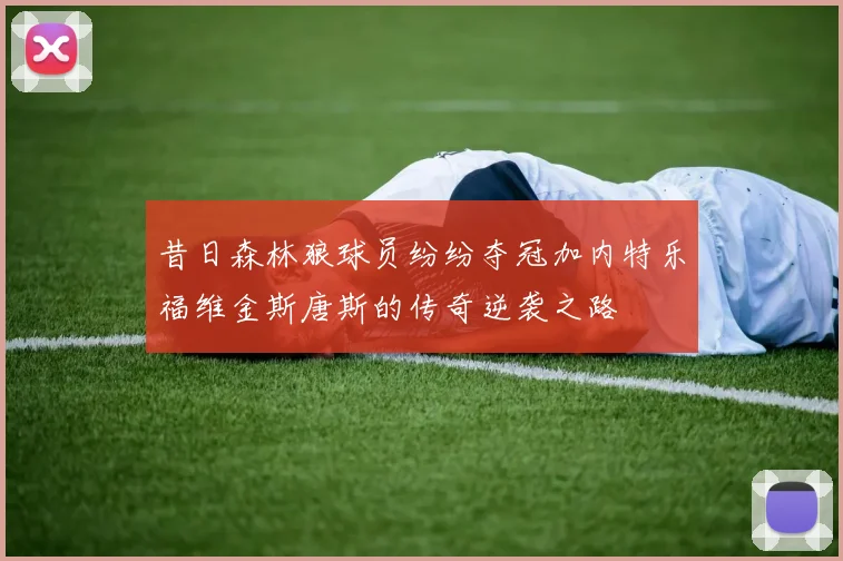 昔日森林狼球员纷纷夺冠加内特乐福维金斯唐斯的传奇逆袭之路